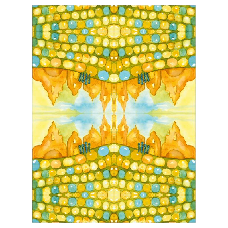 Selected Variant Image